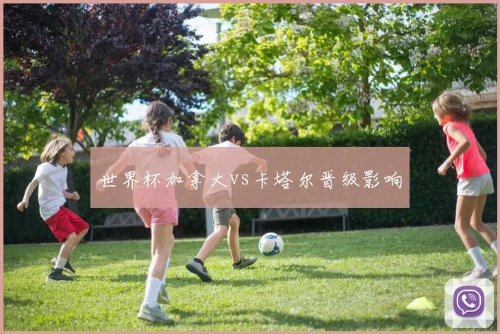世界杯加拿大vs卡塔尔晋级影响