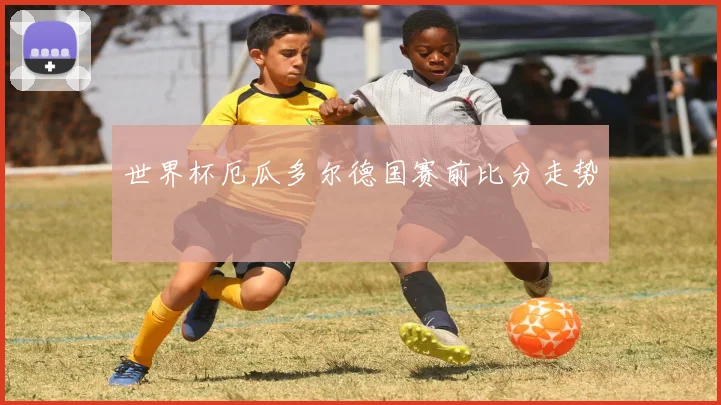 世界杯厄瓜多尔德国赛前比分走势