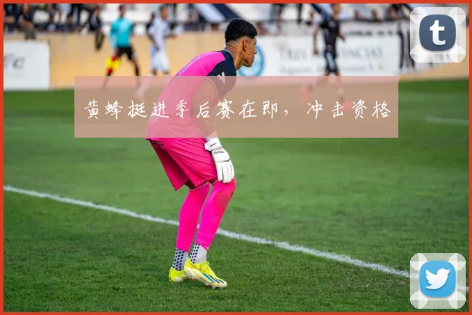 黄蜂挺进季后赛在即，冲击资格
