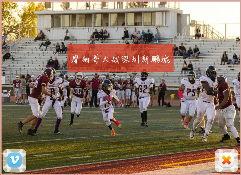 摩纳哥大战深圳新鹏城