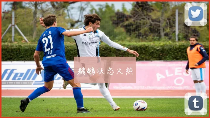 鹈鹕状态火热