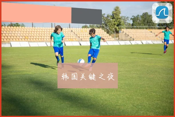 韩国关键之夜