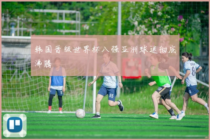 韩国晋级世界杯八强亚洲球迷彻底沸腾