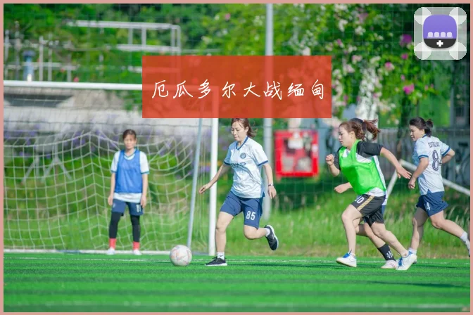 厄瓜多尔大战缅甸