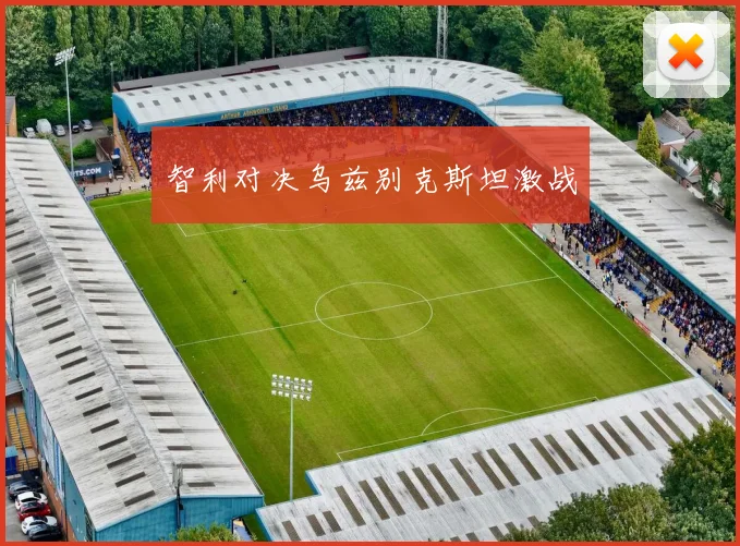智利对决乌兹别克斯坦激战