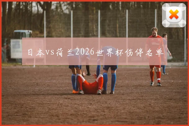 日本vs荷兰2026世界杯伤停名单