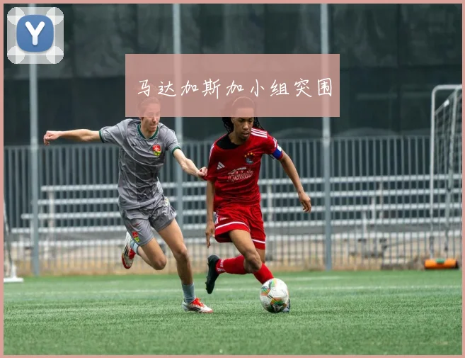 马达加斯加小组突围