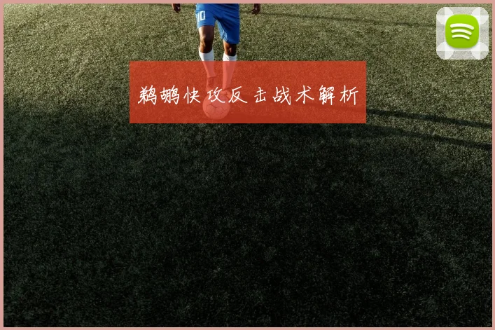 鹈鹕快攻反击战术解析