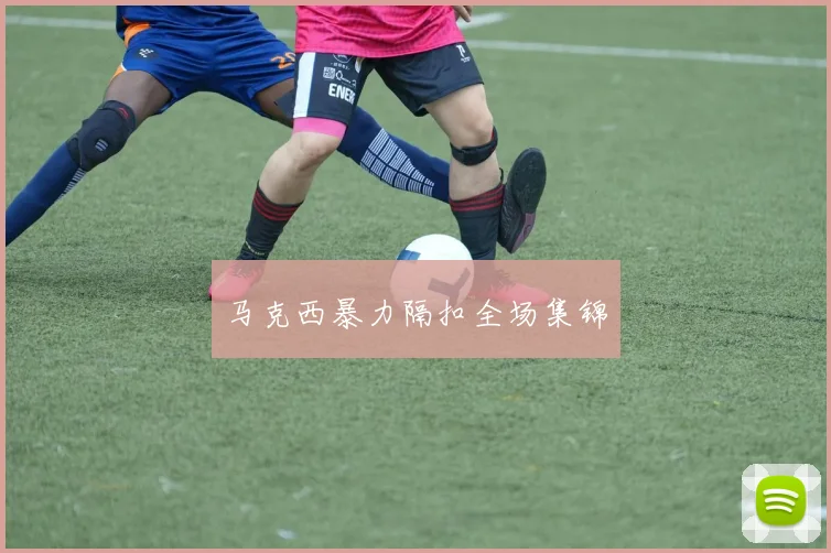 马克西暴力隔扣全场集锦