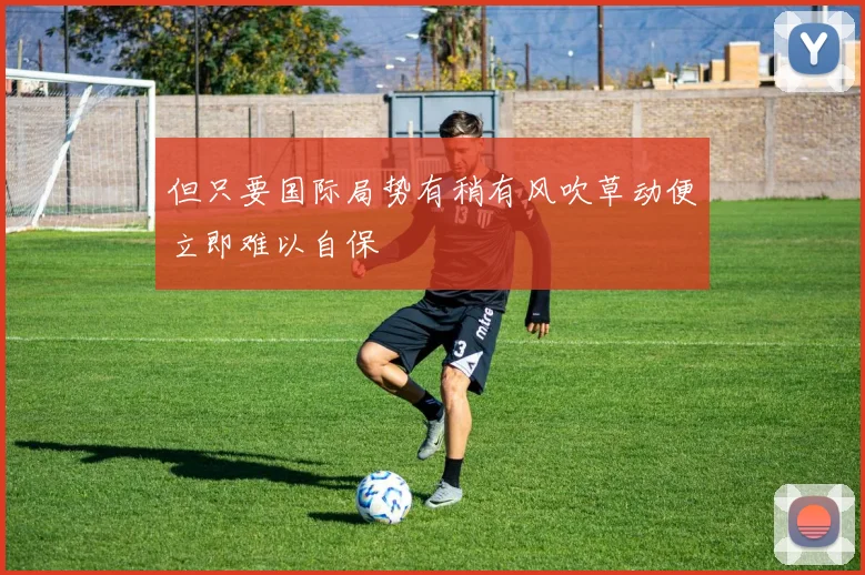 但只要国际局势有稍有风吹草动便立即难以自保