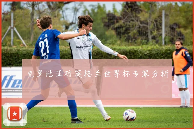克罗地亚对英格兰世界杯专家分析