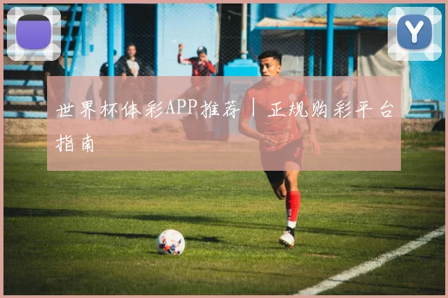 世界杯体彩APP推荐｜正规购彩平台指南