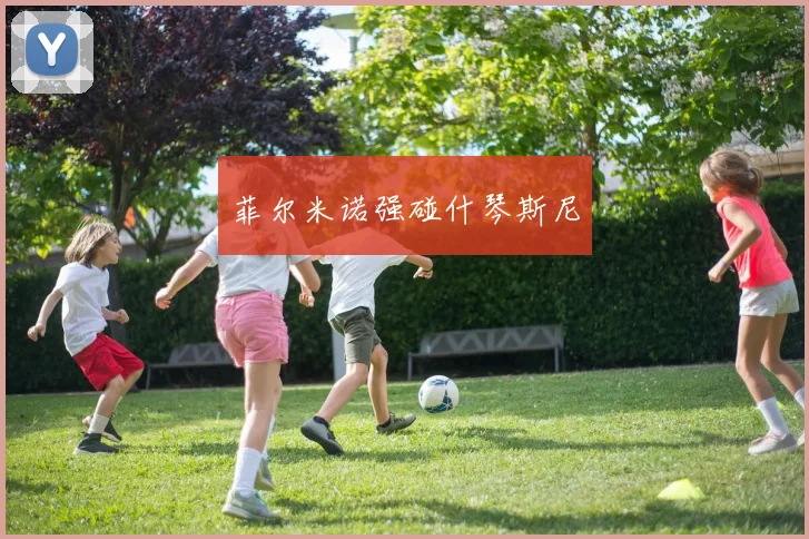 菲尔米诺强碰什琴斯尼