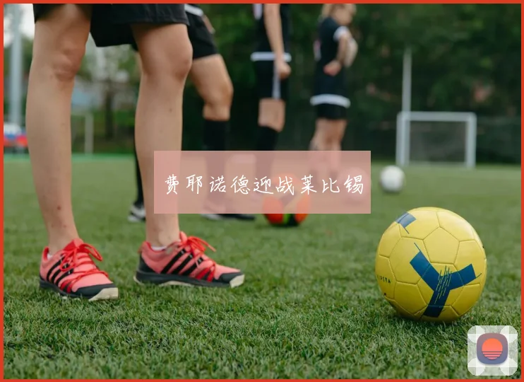 费耶诺德迎战莱比锡