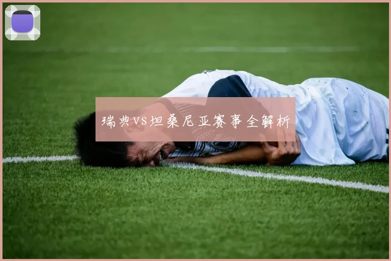 瑞典vs坦桑尼亚赛事全解析
