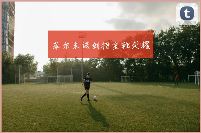 菲尔米诺剑指金靴荣耀