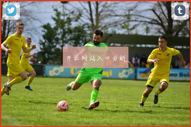 开云网站入口分析