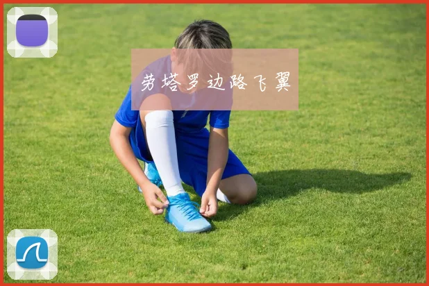 劳塔罗边路飞翼