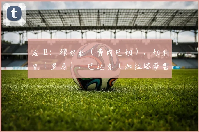 后卫：穆尔杜（费内巴切）、切利克（罗马）、巴达克（加拉塔萨雷）、卡普兰（阿贾克斯）、德米拉尔（吉达国民）、阿卡丁（费内巴切）、卡迪奥卢（费内巴切）