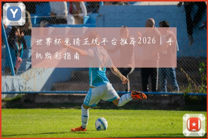 世界杯竞猜正规平台推荐2026｜手机购彩指南