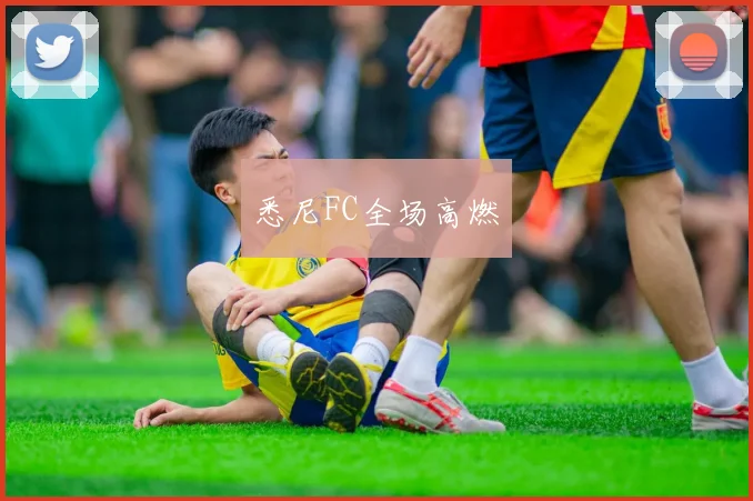 悉尼FC全场高燃
