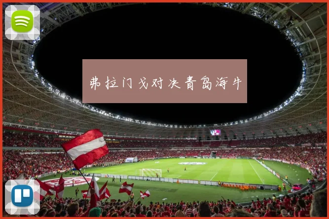 弗拉门戈对决青岛海牛
