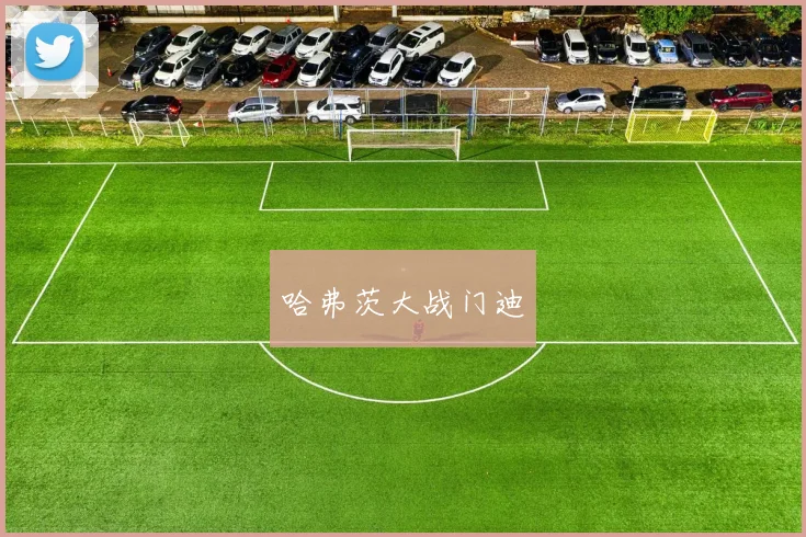 哈弗茨大战门迪