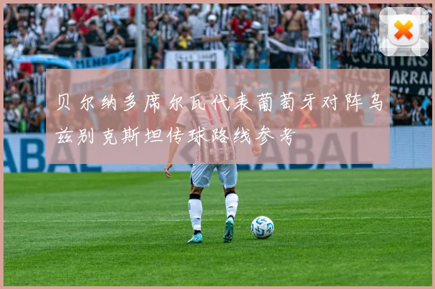 贝尔纳多席尔瓦代表葡萄牙对阵乌兹别克斯坦传球路线参考