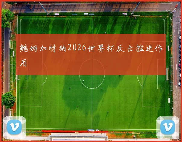 鲍姆加特纳2026世界杯反击推进作用
