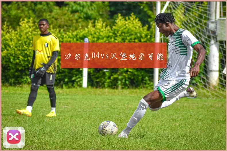 沙尔克04vs汉堡绝杀可能
